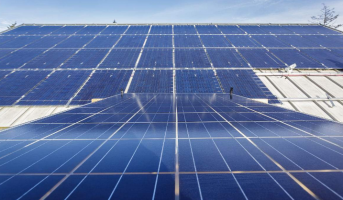 巴勒斯坦最大的太阳能光伏项目正在兴起