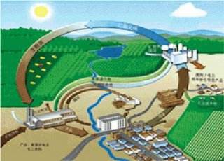 到2022年，阳信县取暖基本不用煤！用生物质能！