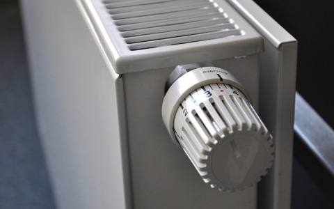 塞尔维亚预计将在2019年完成延迟360万欧元的生物质供热厂项目