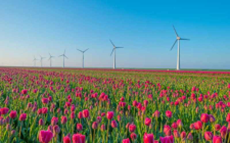 维斯塔斯通过ECN为Wieringermeer风测试站点确保订单