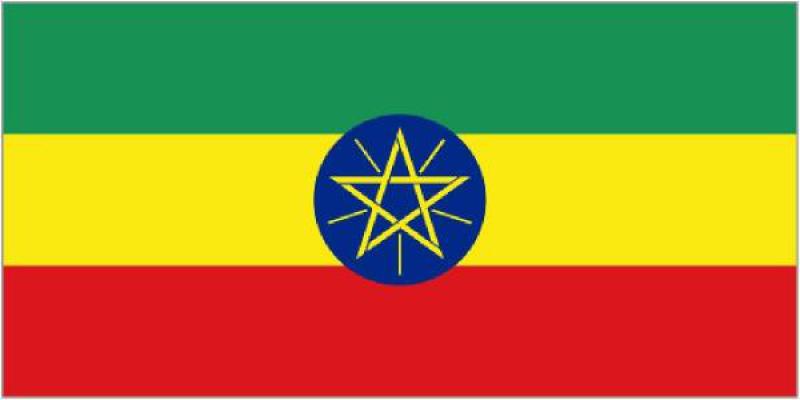 埃塞俄比亚能源概况：化石燃料已具备商业开采规模