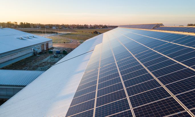 爱沙尼亚奶牛场开始工作的太阳能发电厂处于最高容量