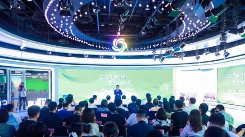 国网江苏电力宣传部：碳路展成果 服务筑新篇